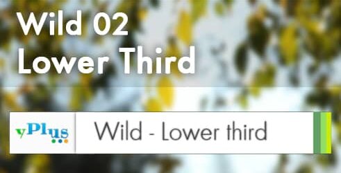 wild-2-vmix-lower-third